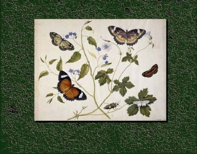 The Seymer Legacy: Henry Seymer and Henry Seymer Jnr of Dorset and Their Entomological Paintings, with a Catalogue of Butterflies and Plants (1755 - 1783) (Leather / fine binding)