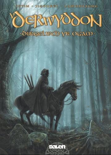 Derwyddon, Y: Dirgelwch yr Ogam (Hardback)