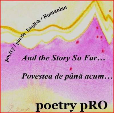 And the Story So Far...: Povestea De Pana Acum... (CD-Audio)