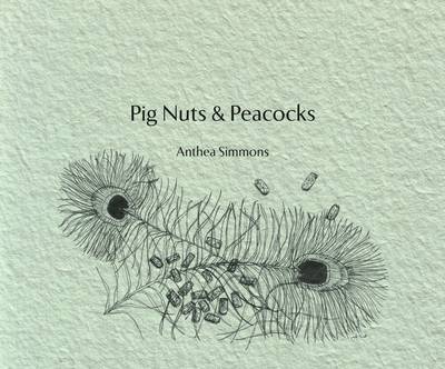 Pig Nuts and Peacocks (Paperback)