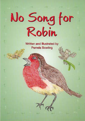 No Song for Robin (Paperback)
