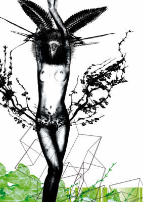 Dreamflesh: v. 1: A Journal of Body, Psyche, Ecological Crisis & Archaeologies of Consciousness (Paperback)