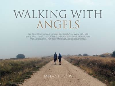 Walking with Angels: The True Story of One Woman's Inspirational Walk with Her Two Sons, Aged 12 and 16, for 33 Exceptional Days Over the Pyrenees and Across Spain for 800kms to Santiago de Compostela (Hardback)