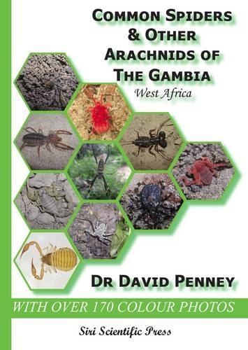 Common Spiders and Other Arachnids of the Gambia, West Africa (Paperback)