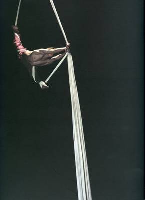 Circus (Hardback)