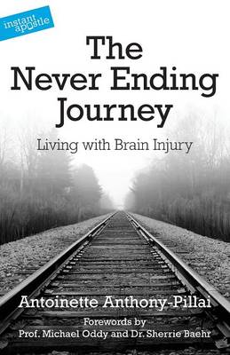 The Never Ending Journey: Living with Brain Injury (Paperback)