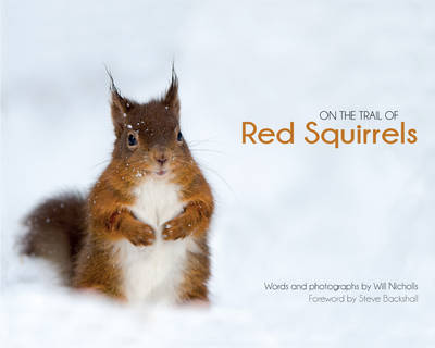 On the Trail of Red Squirrels (Hardback)