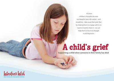A Child's Grief: Supporting a Child When Someone in Their Family Has Died (Paperback)