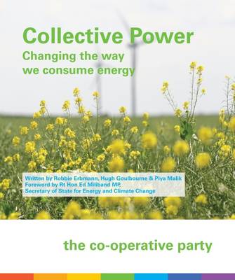 Collective Power: Changing the Way We Consume Energy (Paperback)