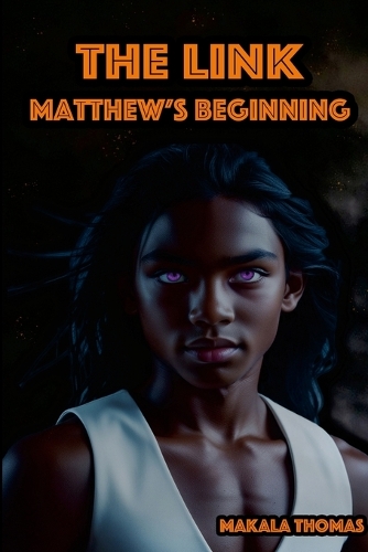 The Link: Matthew's Beginning (Paperback)