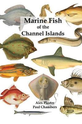 Marine Fish of the Channel Islands (Paperback)