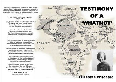 Testimony of a 'what Not' (Paperback)