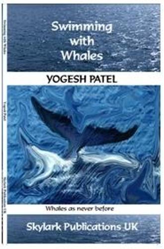 Swimming with Whales: Whales as Never Before (Paperback)