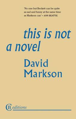 This is Not a Novel (Paperback)