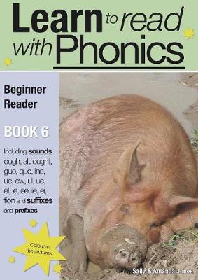 Learn to Read with Phonics: Beginner Reader v. 8, Bk. 6 (Paperback)