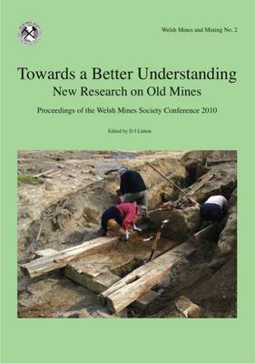 Towards a Better Understanding: New Research on Old Mines 2010: Proceedings of the Welsh Mines Society Conference - Welsh Mines and Mining No. 2 (Paperback)