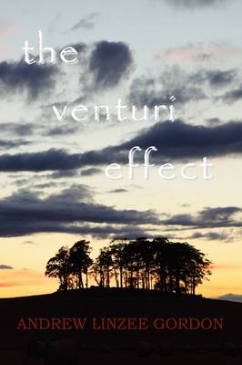 The Venturi Effect (Paperback)