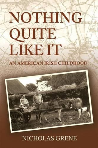 Nothing Quite Like It (Paperback)