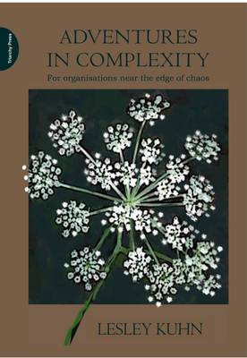 Adventures in Complexity: For Organisations Near the Edge of Chaos (Paperback)