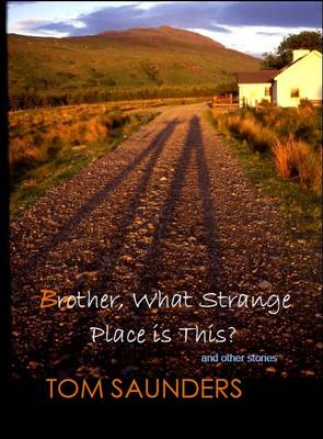 Brother, What Strange Place is This?: And Other Stories (Paperback)