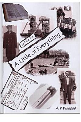 A Little of Everything: Just for Me (Paperback)
