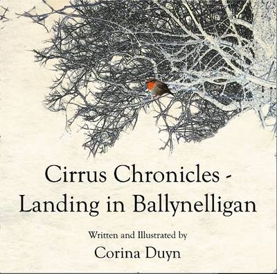 Landing in Ballynelligan - Cirrus Chronicles (Paperback)