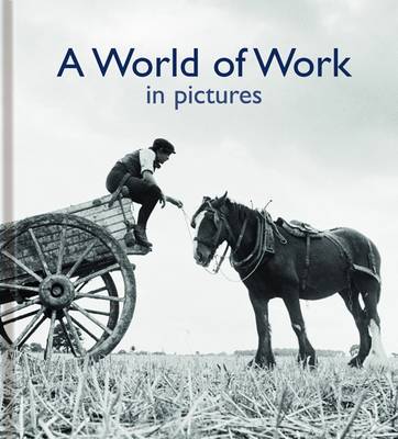A World of Work in Pictures (Hardback)