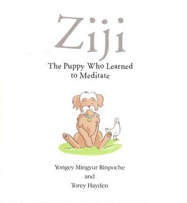 Ziji: The Puppy Who Learned to Meditate (Paperback)