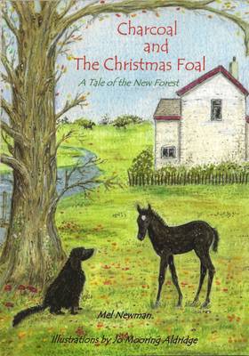 Charcoal and the Christmas Foal: A Tale of the New Forest - Charcoal in the New Forest One (Paperback)