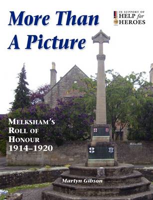 More Than a Picture (Paperback)