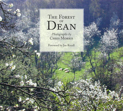 The Forest of Dean (Paperback)