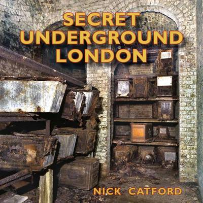 the secrets of underground medicine book free download