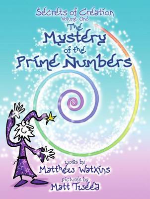 The Mystery of the Prime Numbers: Secrets of Creation v. 1 (Paperback)