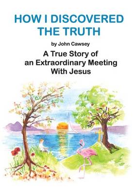 How I Discovered the Truth: A True Story of an Extraordinary Meeting with Jesus (Paperback)