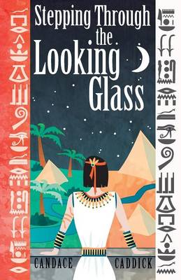 Stepping Through the Looking Glass: Life on the Other Side (Paperback)
