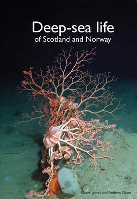 Deep-Sea Life of Scotland and Norway (Hardback)