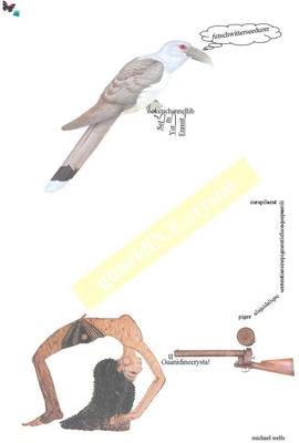 Futschwitterseedurer;-): Guanidinecrystal (Paperback)