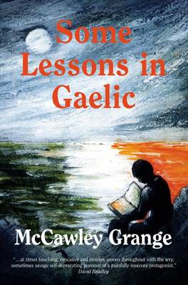 Some Lessons in Gaelic (Paperback)