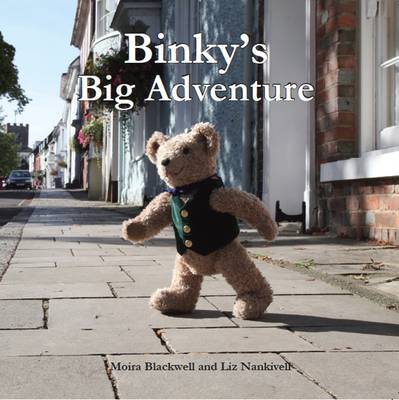 Binky's Big Adventure (Hardback)