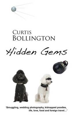 Hidden Gems (Paperback)