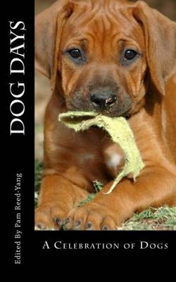 Dog Days (Paperback)