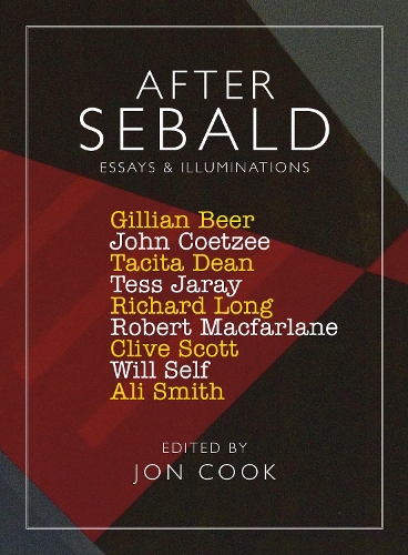 After Sebald: Essays and Illuminations (Paperback)