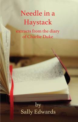 Needle in a Haystack (Paperback)