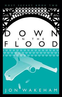 Down in the Flood: Book 2: Most Secret (Paperback)