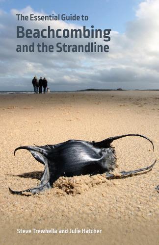 The Essential Guide to Beachcombing and the Strandline (Paperback)