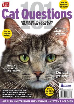 101 Cat Questions (Paperback)