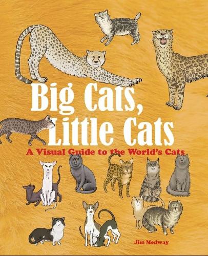 Big Cats, Little Cats: A Visual Guide to the World's Cats - Big & Little (Hardback)
