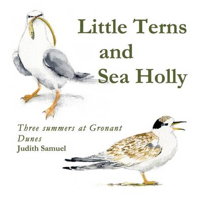 Little Terns and Sea Holly: Three Summers on Gronant Dunes (Paperback)