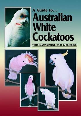 Australian White Cockatoos - A Guide to (Paperback)