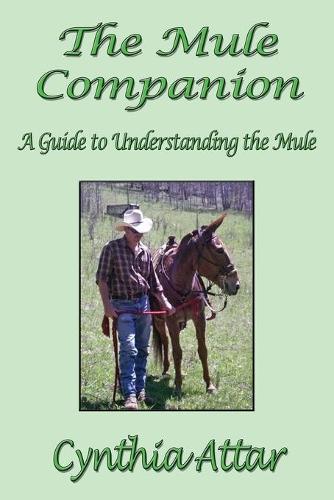 The Mule Companion: A Guide to Understanding the Mule (Paperback)